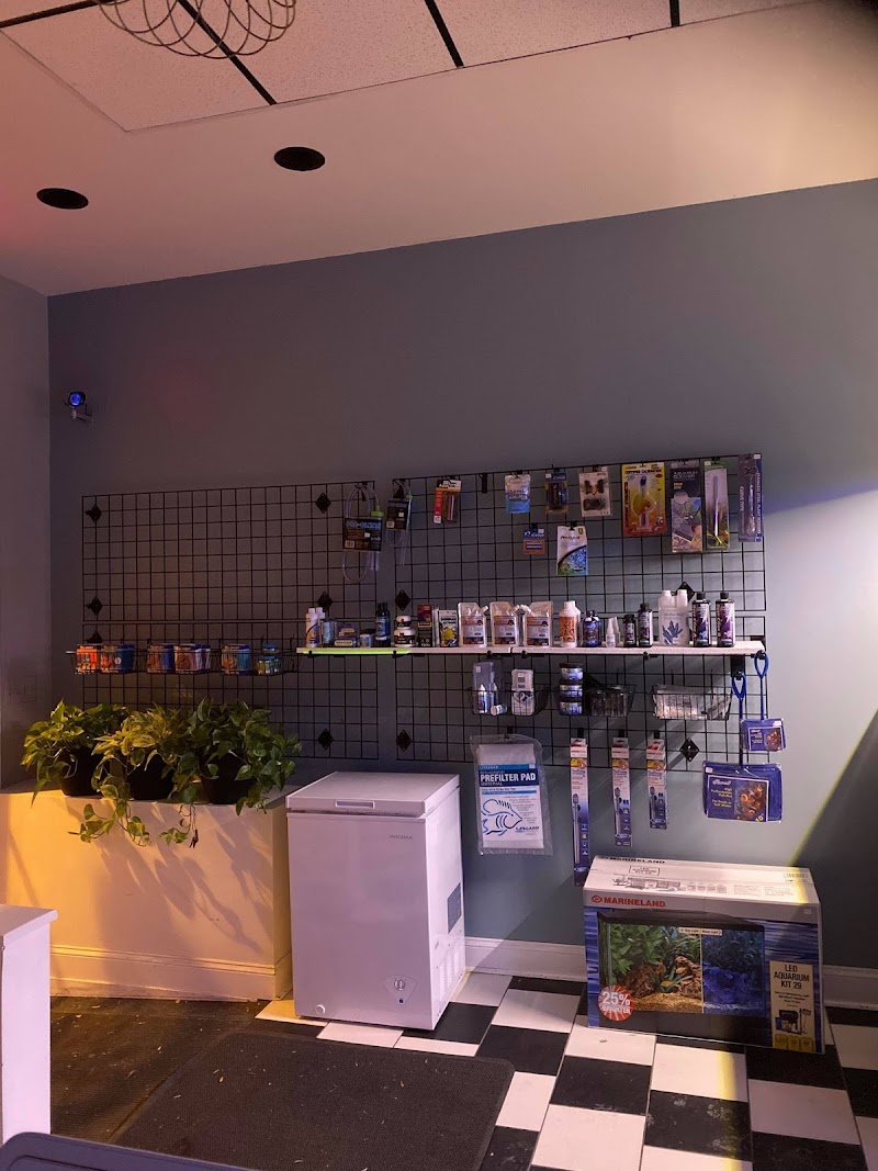 Easy Aqua Fish & Coral - Photo 4