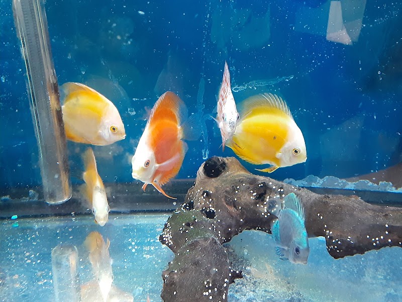 Milwaukee Aquatics - Photo 4