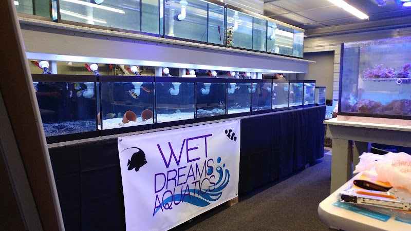 Wet Dreams Aquatics - Photo 1