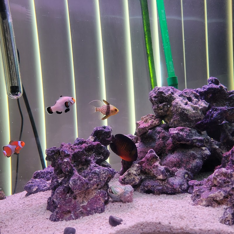 Wet Dreams Aquatics - Photo 2