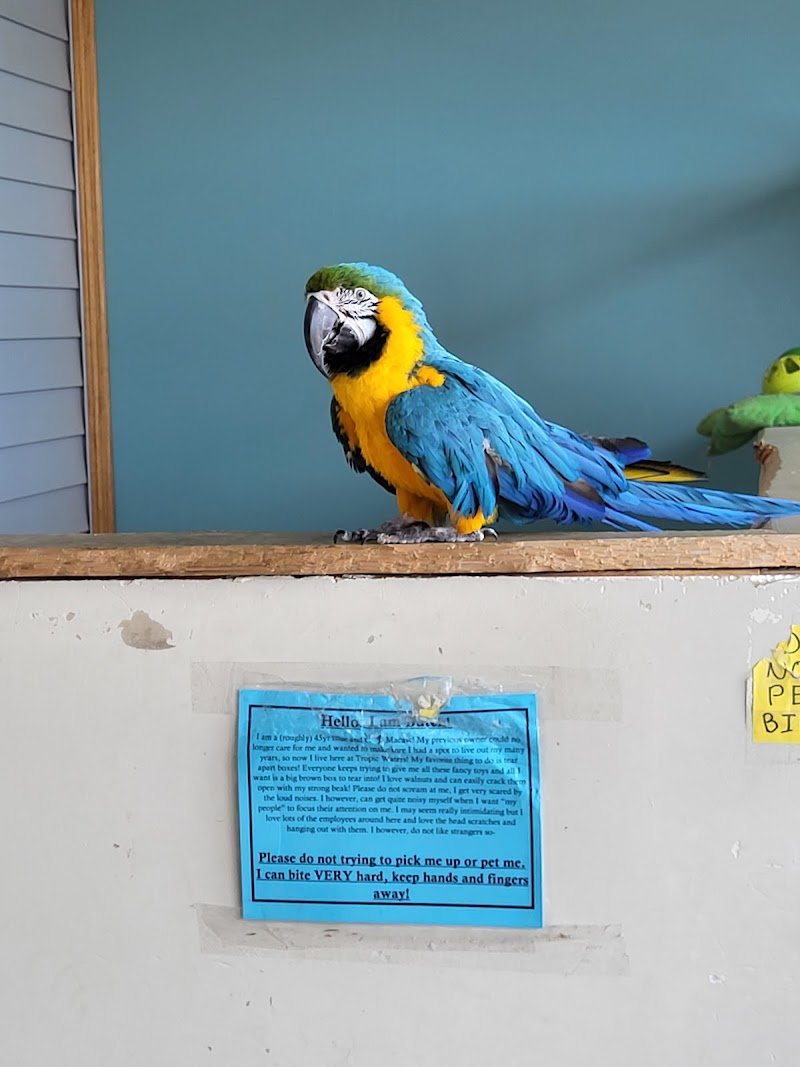 Tropic Waters Pet Center - Photo 4