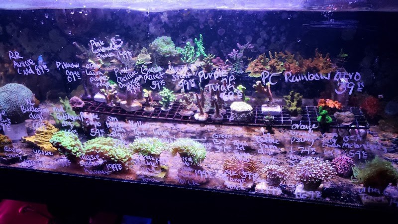 Ultimate Aquarium Inc - Photo 1