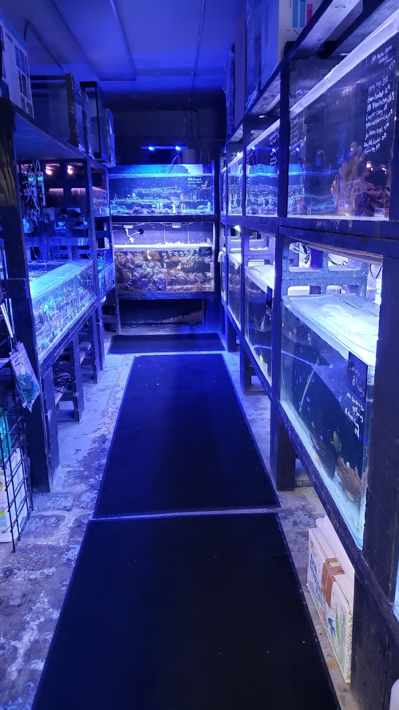 Ultimate Aquarium Inc - Photo 4