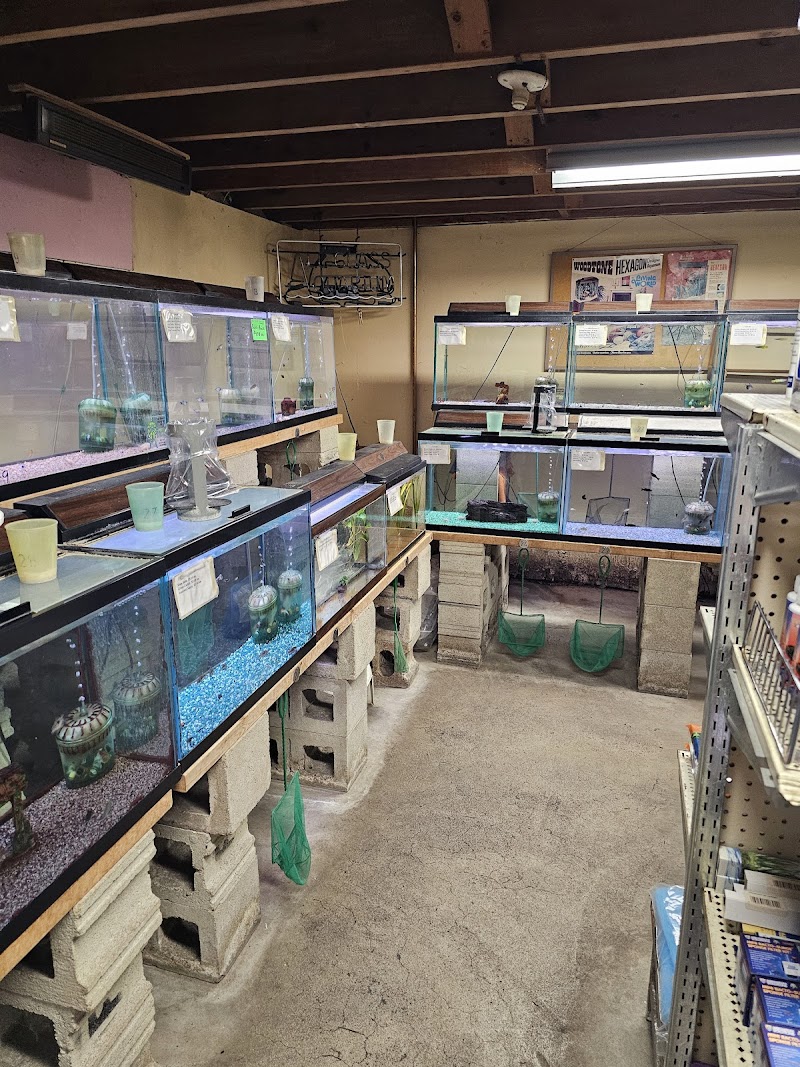 Elsner Aquarium & Supply - Photo 4