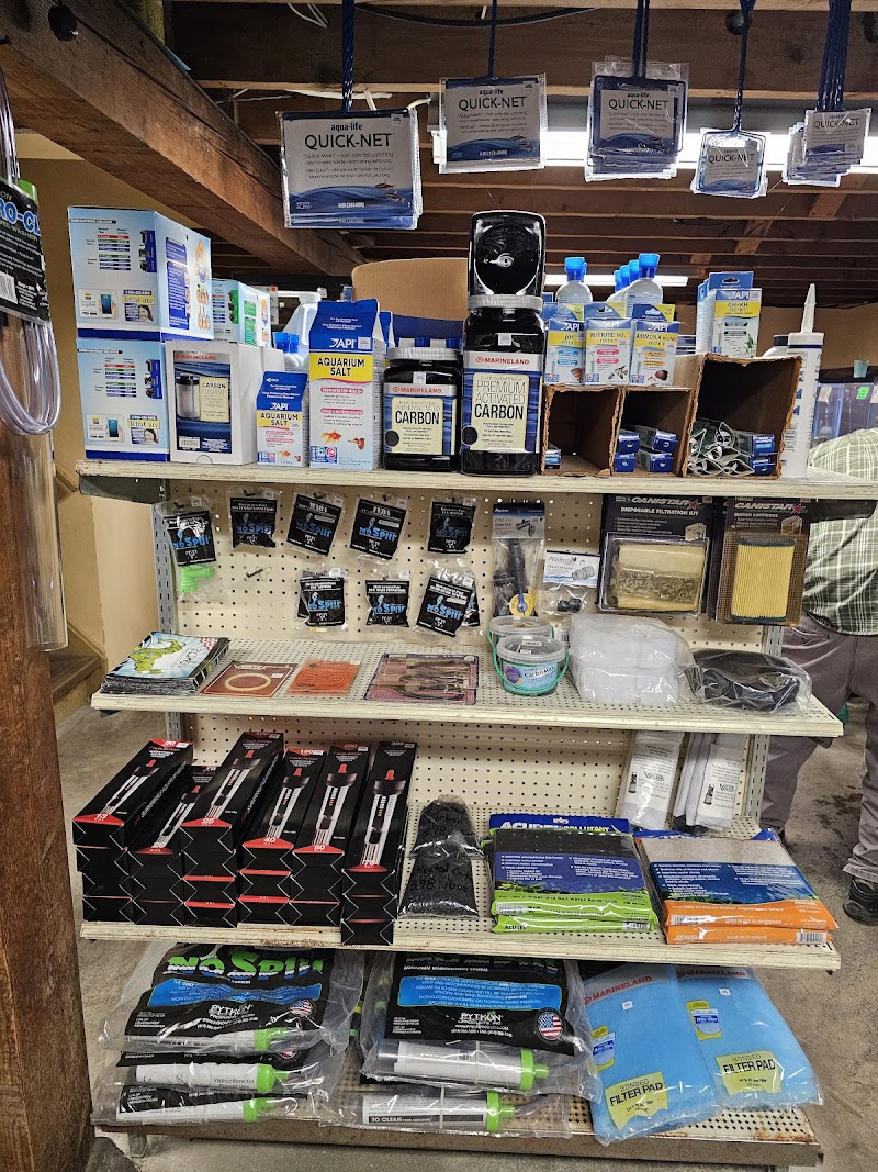 Elsner Aquarium & Supply - Photo 5