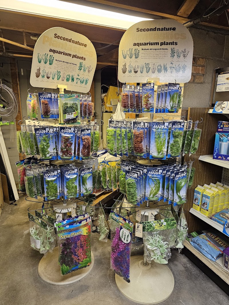 fish tank accessories plymouth Penn-Plax Deco-Replicas Age-of-Magic Wizard's Castle Part B Aquarium Decoration - Durable Hand-Painted Resin with Swim Holes & Hideouts - Safe for Freshwater & Saltwater Tanks Perfect for pet parents looking to add a touch of the sea to their tank Out of Stock - PENN-PLAX
