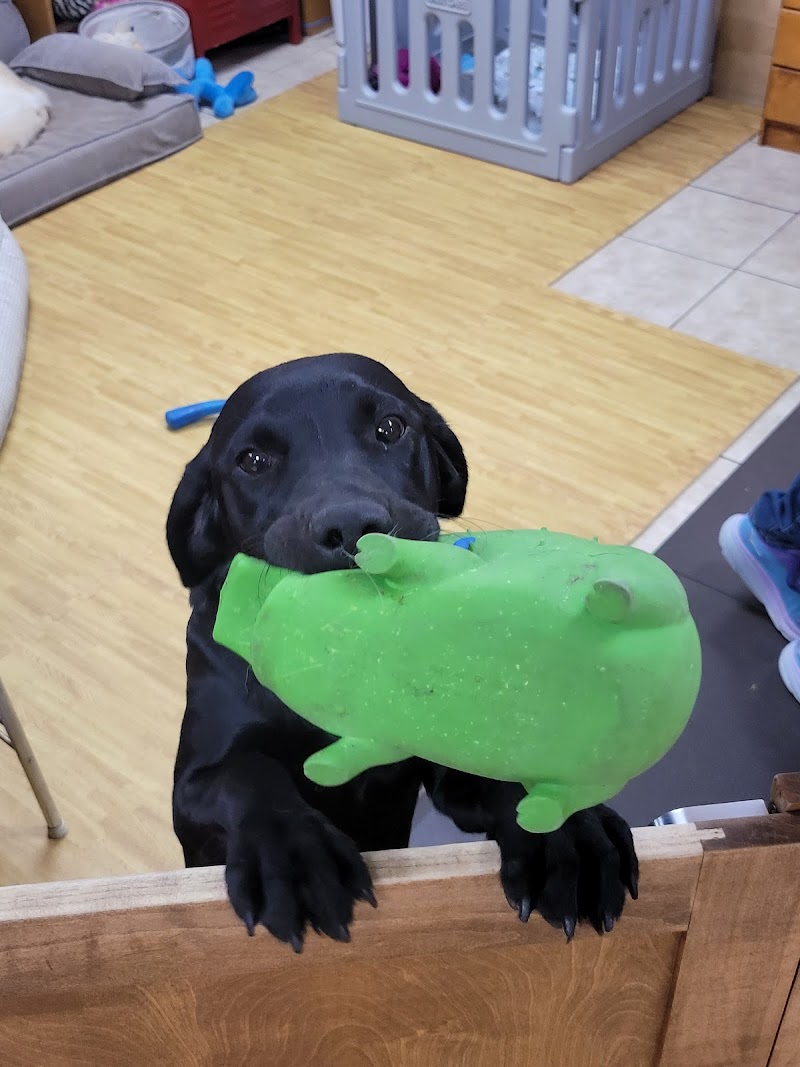 Animal Outfitters - Photo 4