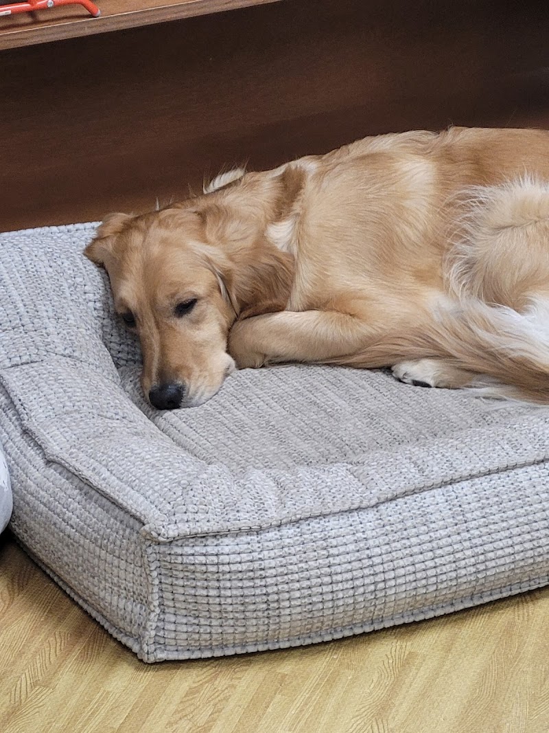 Animal Outfitters - Photo 5