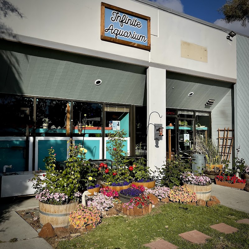 Infinite Aquarium - Photo 1