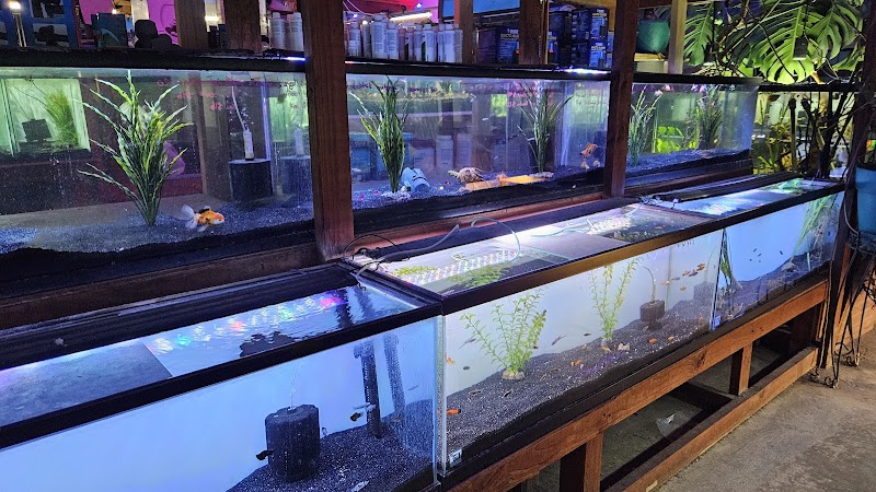 Infinite Aquarium - Photo 2