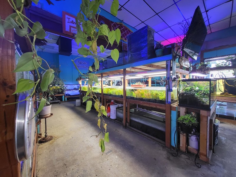 Infinite Aquarium - Photo 3