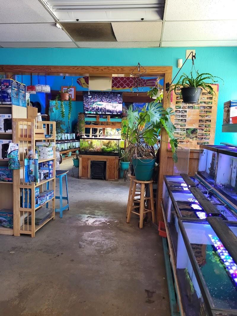 Infinite Aquarium - Photo 5