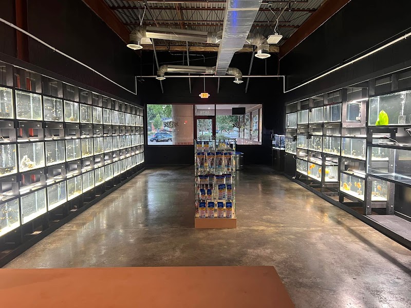 Red Fish Blue Fish Aquatics - Photo 2