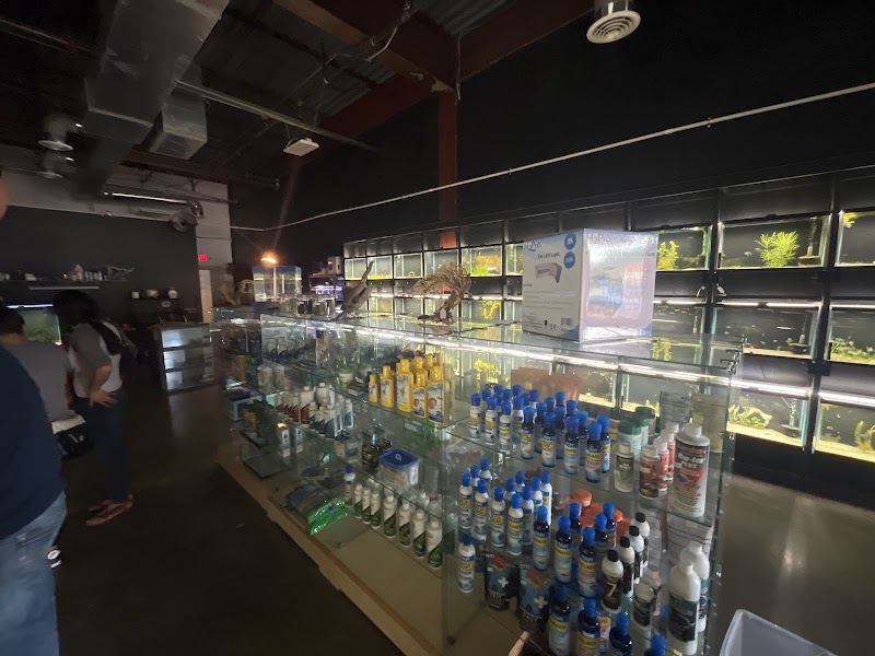 Red Fish Blue Fish Aquatics - Photo 4