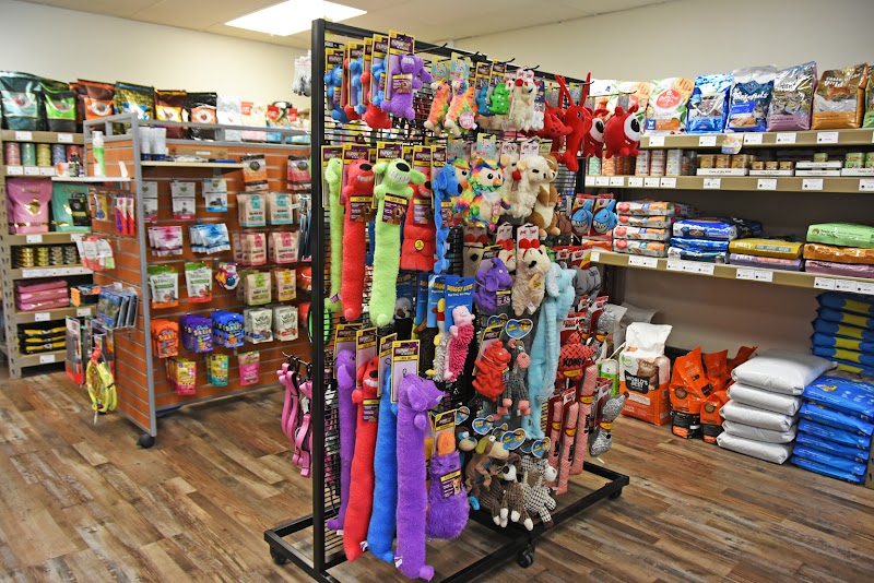 Wags and Whiskers - Photo 2