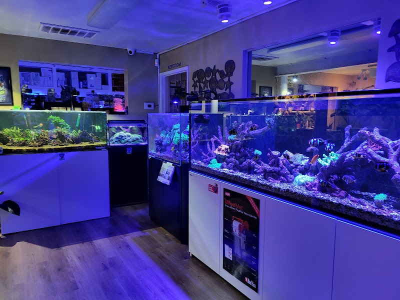 Neptune Aquatics - Photo 2