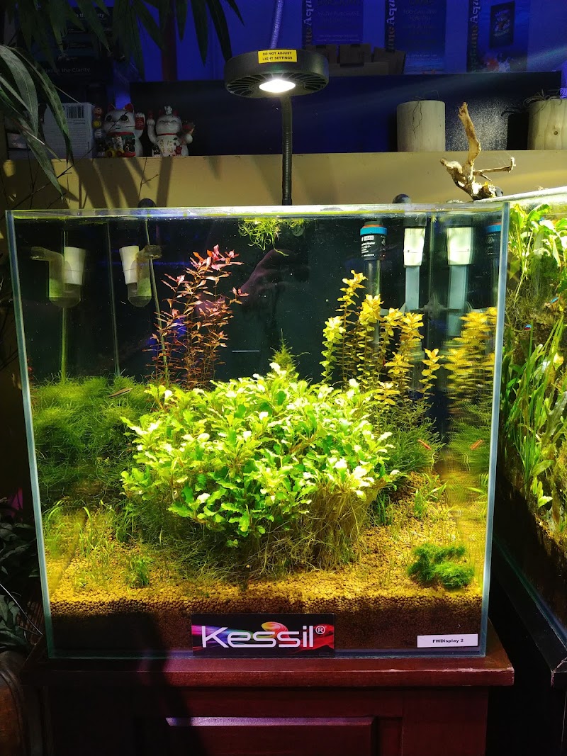 Neptune Aquatics - Photo 3