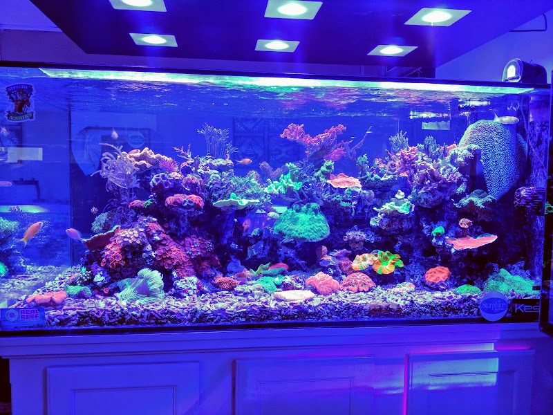 Neptune Aquatics - Photo 5