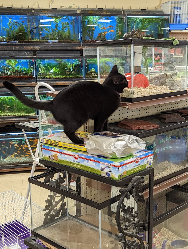 Noah's Ark Pet Center - Photo 2