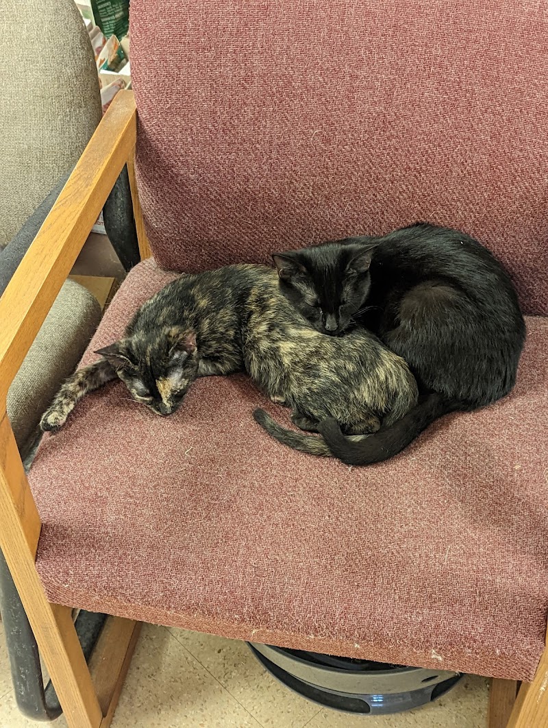 Noah's Ark Pet Center - Photo 3