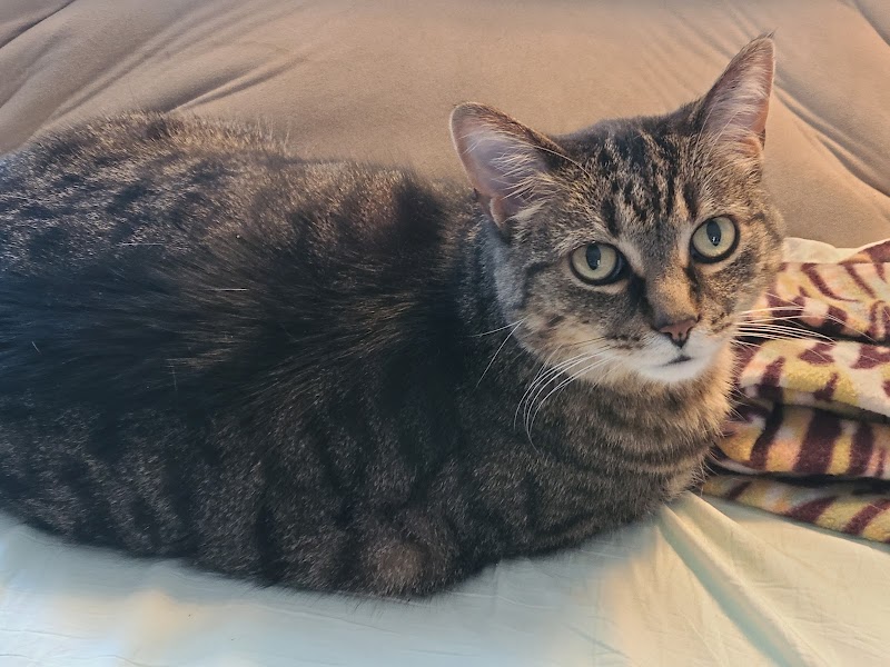 Noah's Ark Pet Center - Photo 4