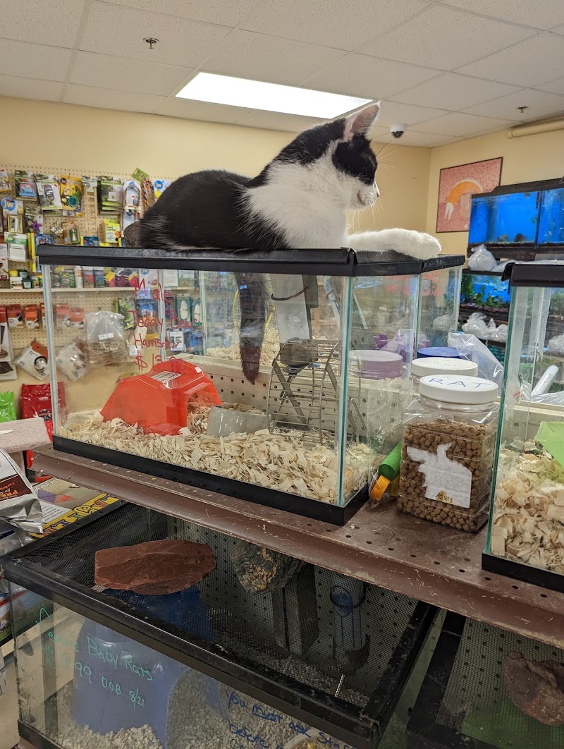 Noah's Ark Pet Center - Photo 5