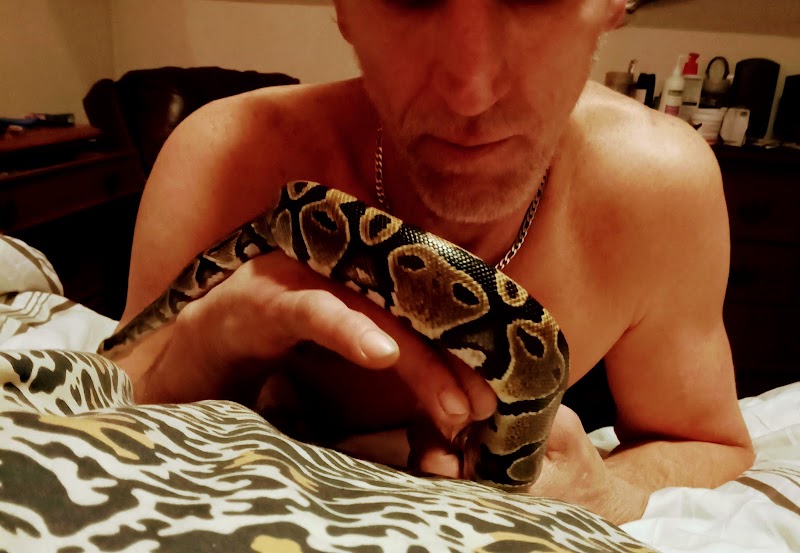 Colonial Pet Shoppe - Photo 4