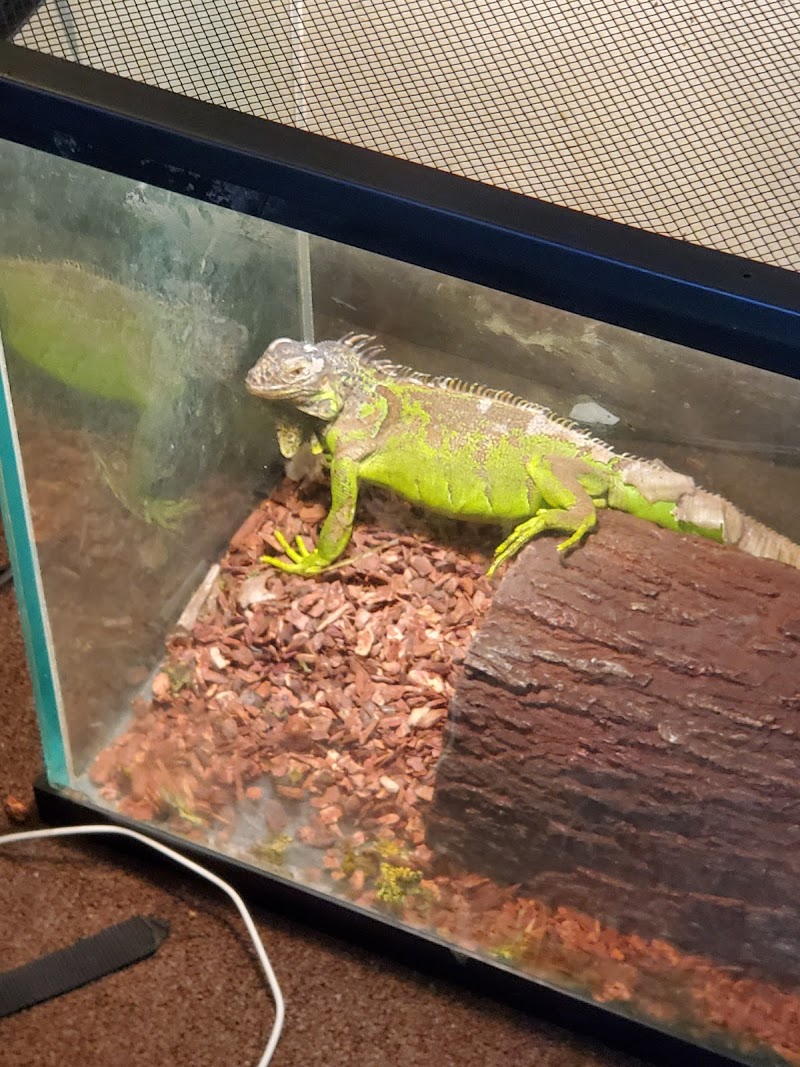 Colonial Pet Shoppe - Photo 5