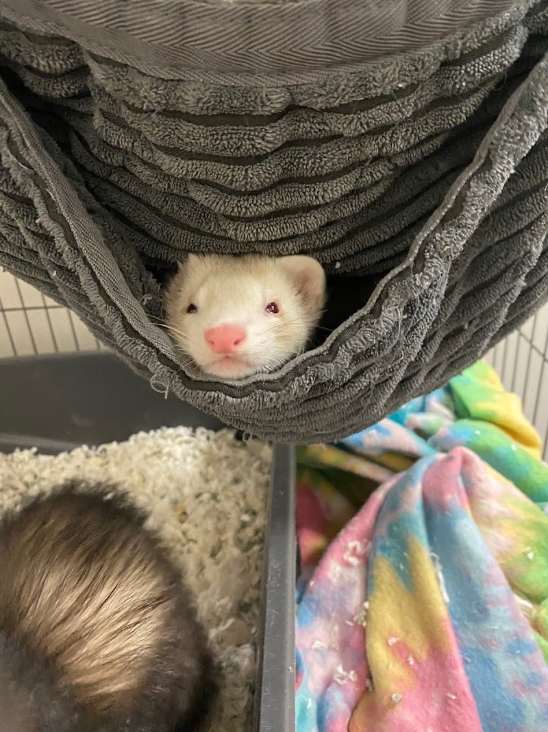 Too Many Exotics LLC - Photo 3