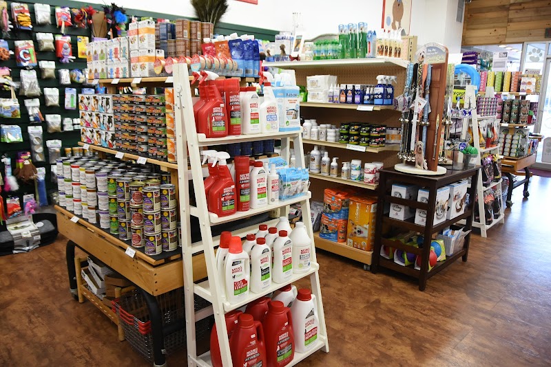 The Companion Shop - Photo 4