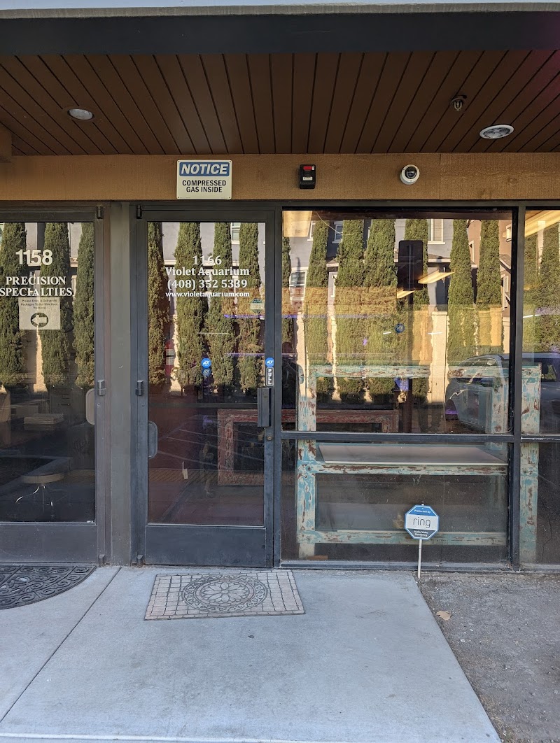 Violet Aquarium LLC - Photo 1