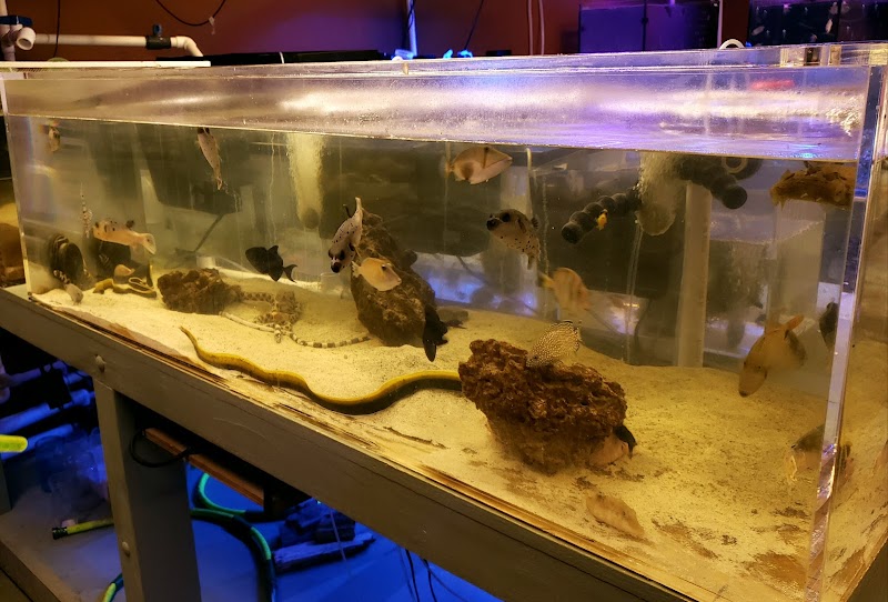 Violet Aquarium LLC - Photo 2