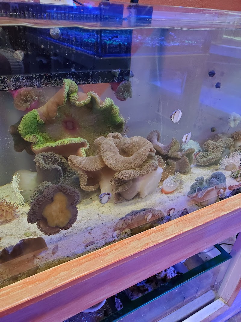 Violet Aquarium LLC - Photo 3