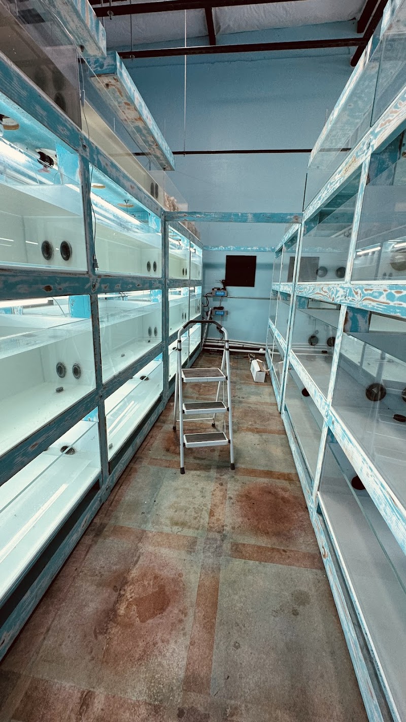 Violet Aquarium LLC - Photo 4