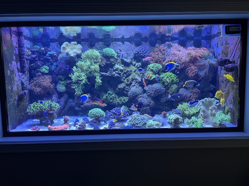 Violet Aquarium LLC - Photo 5