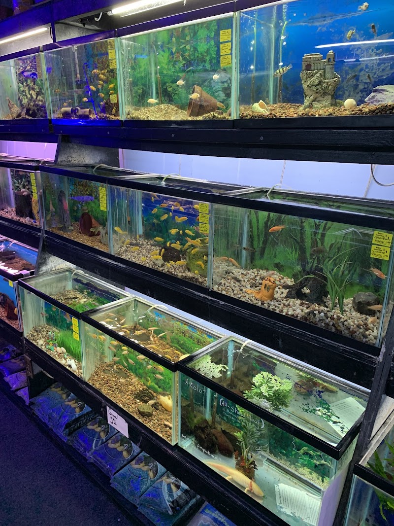 Belpre Aquarium & Pet Shop - Photo 1