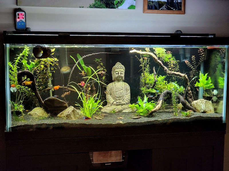 Belpre Aquarium & Pet Shop - Photo 3