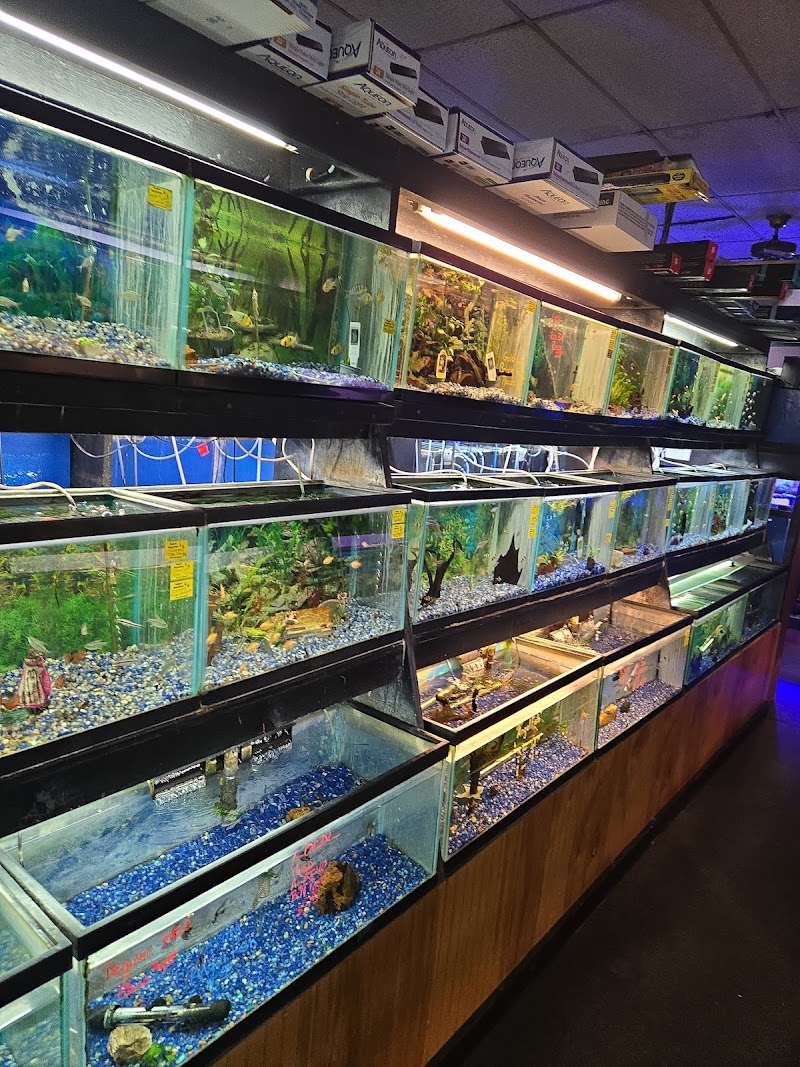 Belpre Aquarium & Pet Shop - Photo 4