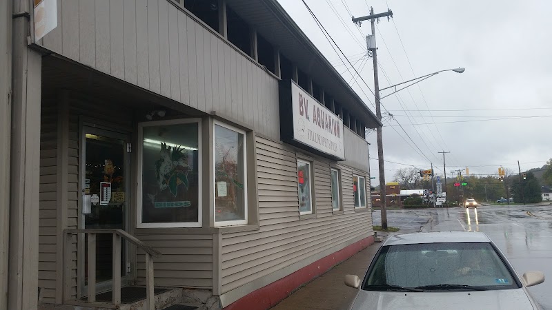 B V Southside Aquarium - Photo 1