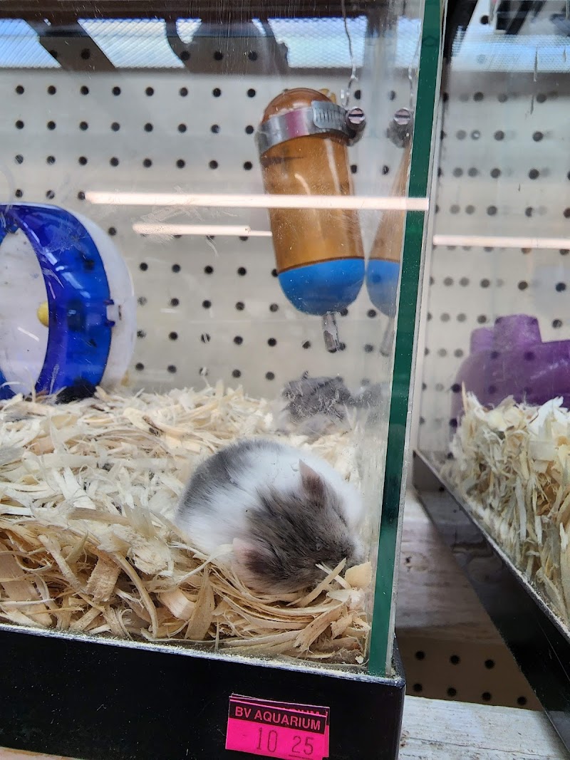 B V Southside Aquarium - Photo 4