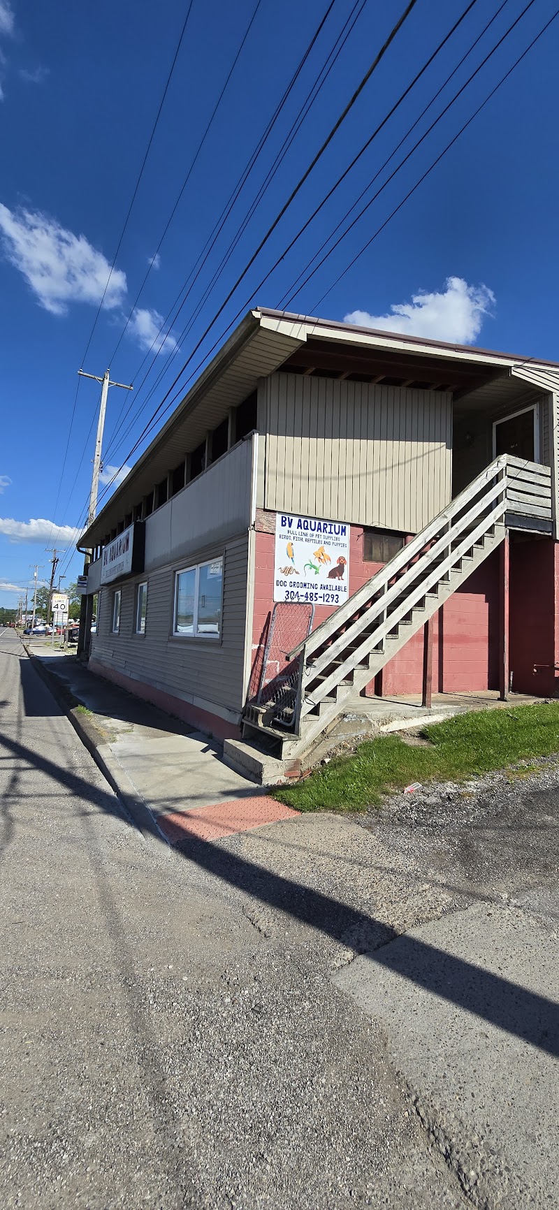 B V Southside Aquarium - Photo 5