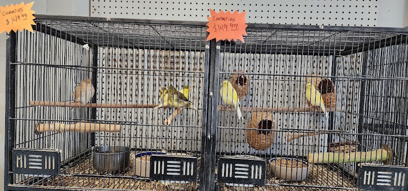 Exotic Jungle Pet Supply - Photo 1