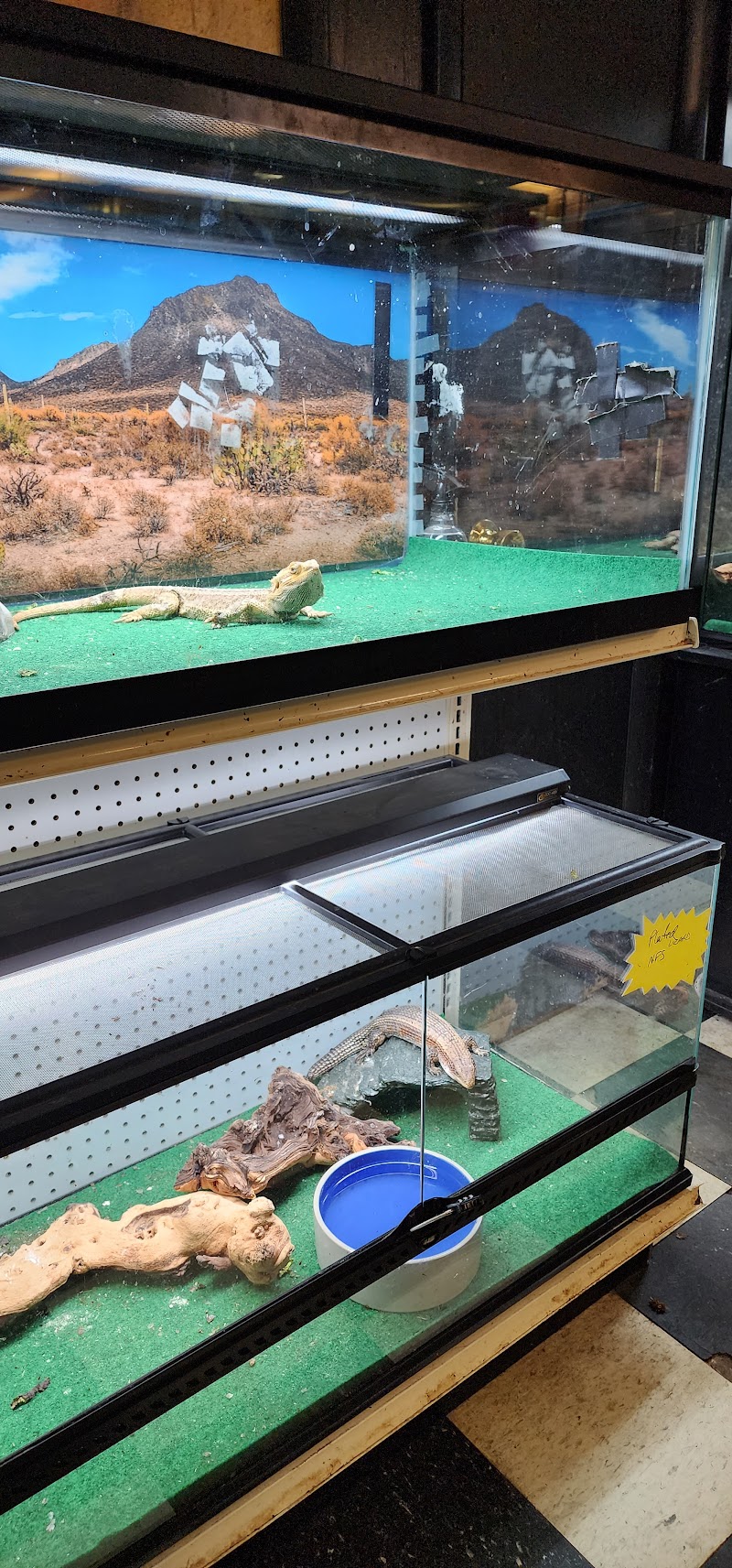 Exotic Jungle Pet Supply - Photo 2