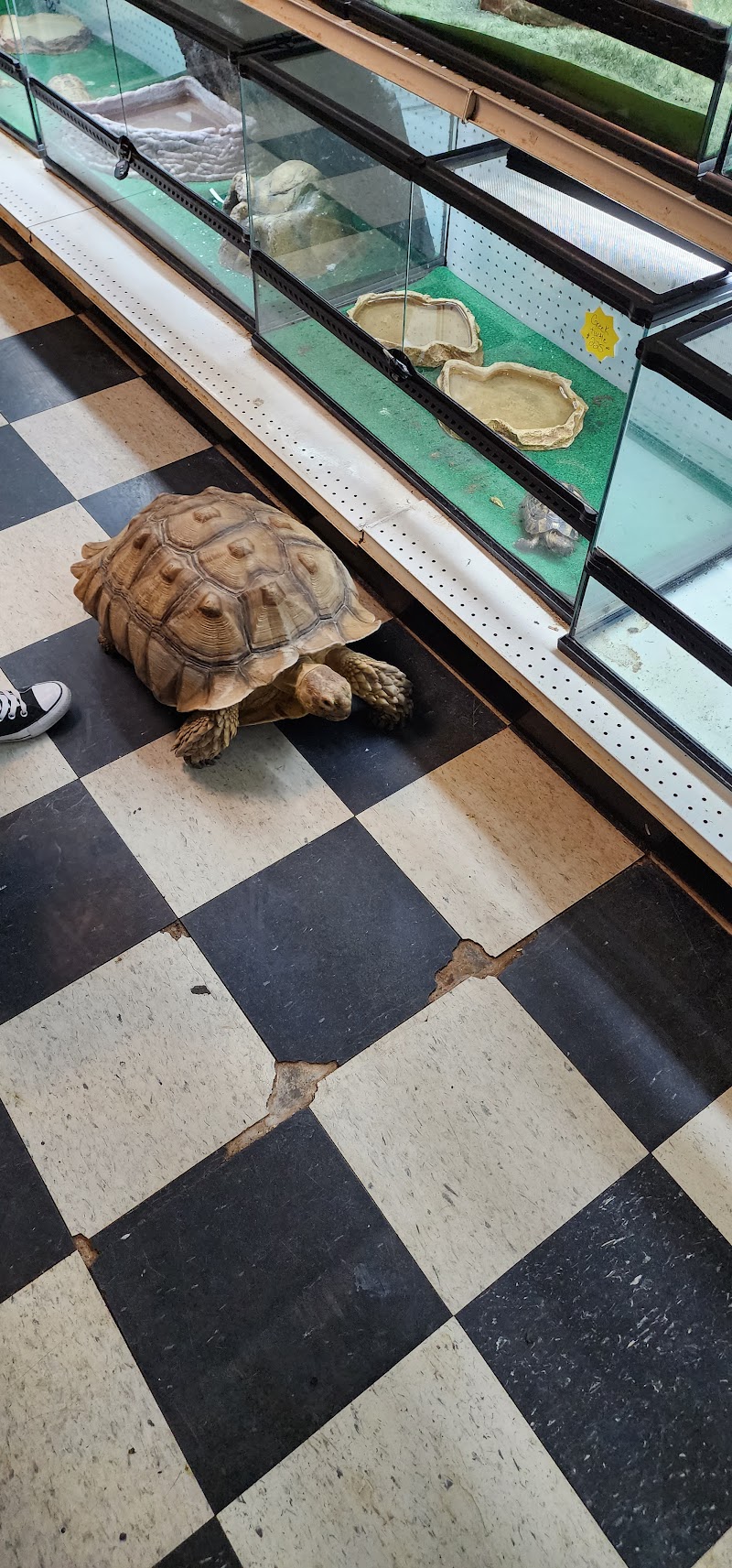 Exotic Jungle Pet Supply - Photo 3