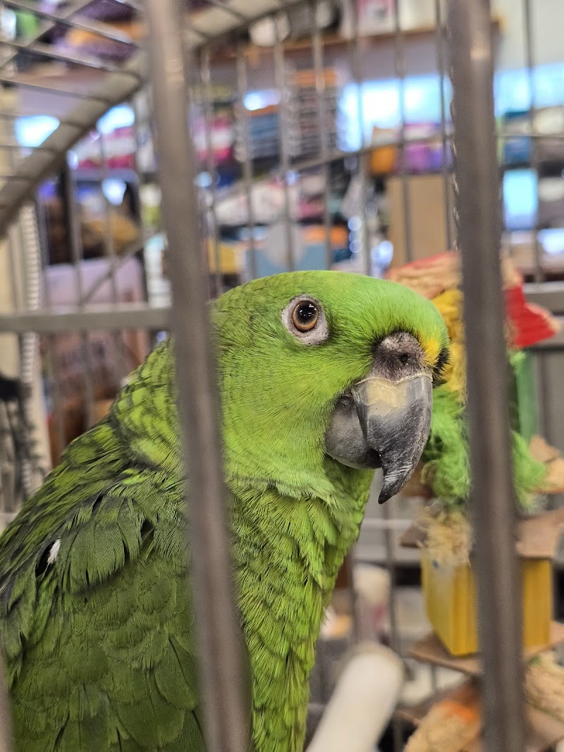 Exotic Jungle Pet Supply - Photo 4