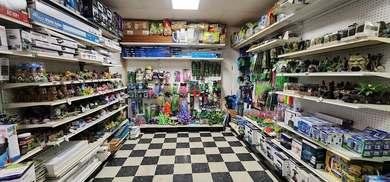 Exotic Jungle Pet Supply - Photo 5