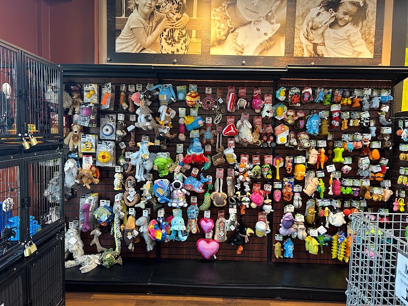 Pet Works - Photo 3