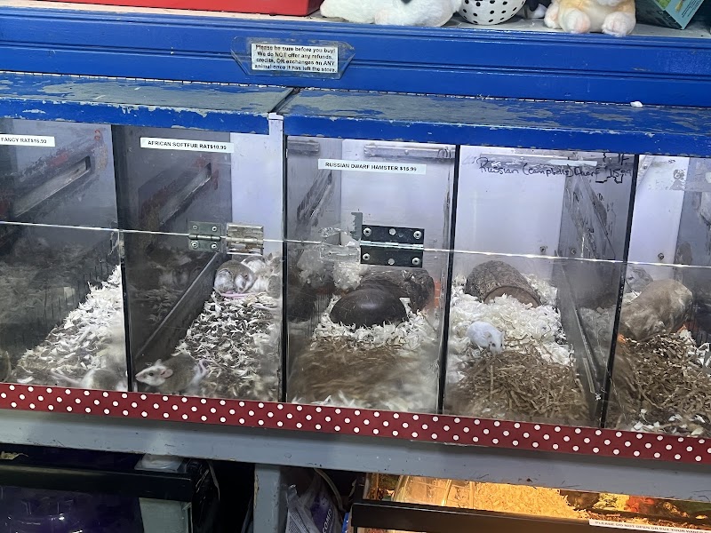 Oakland's Tropical World - Photo 2