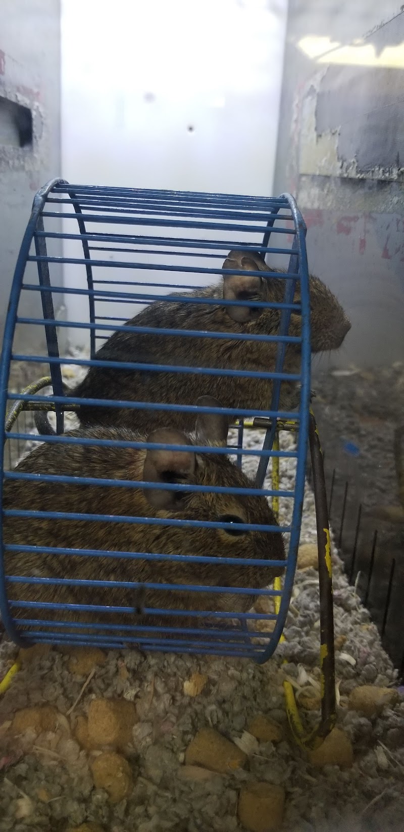 Oakland's Tropical World - Photo 3