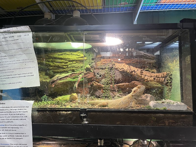 Oakland's Tropical World - Photo 4